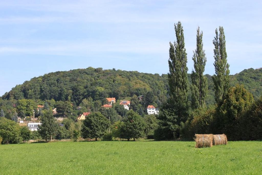 Traumhaftes Elb-chalet Dresde